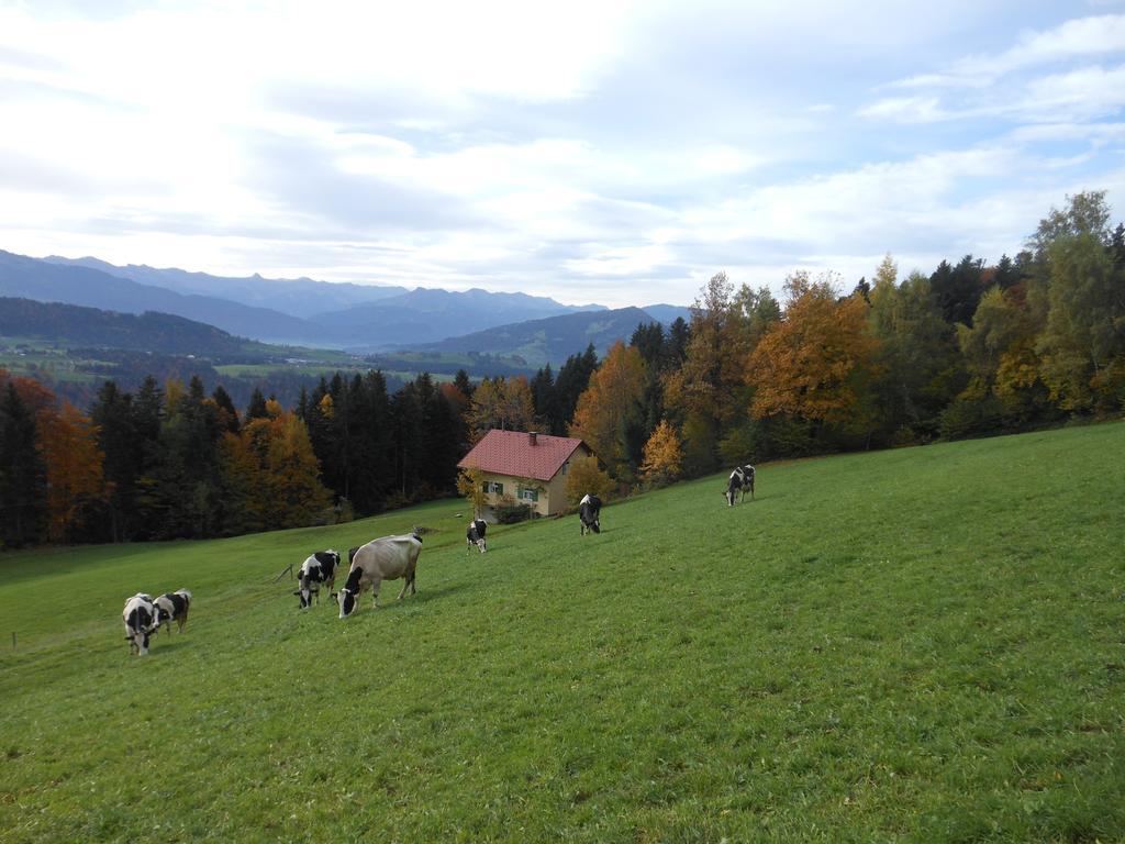 Villa Ferienbauernhof Roth Sulzberg  Esterno foto