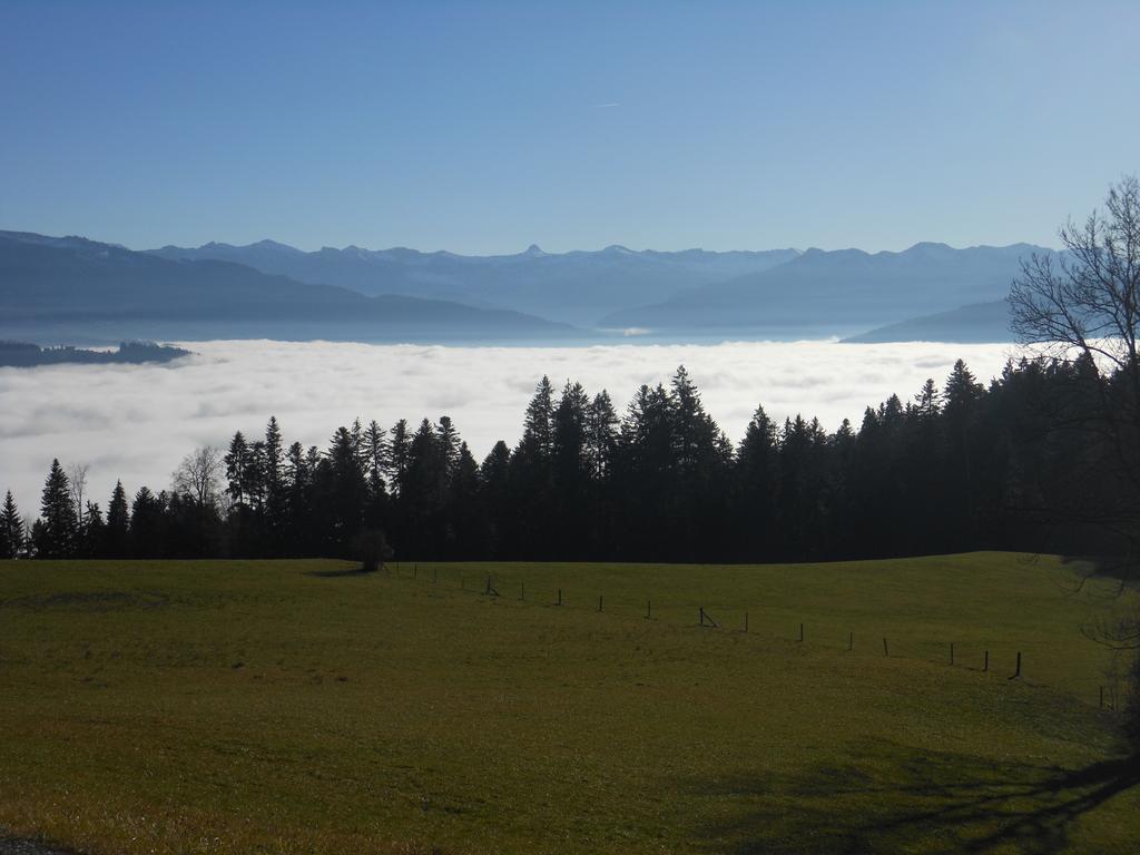 Villa Ferienbauernhof Roth Sulzberg  Esterno foto